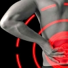 What Your Kidneys Do & Why Their Health Is Essential